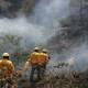 Más de 7,000 hectáreas de bosques arden en Oaxaca