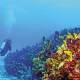 Saquean sin control el Arrecife Alacranes, tesoro enclavado en el Golfo de México