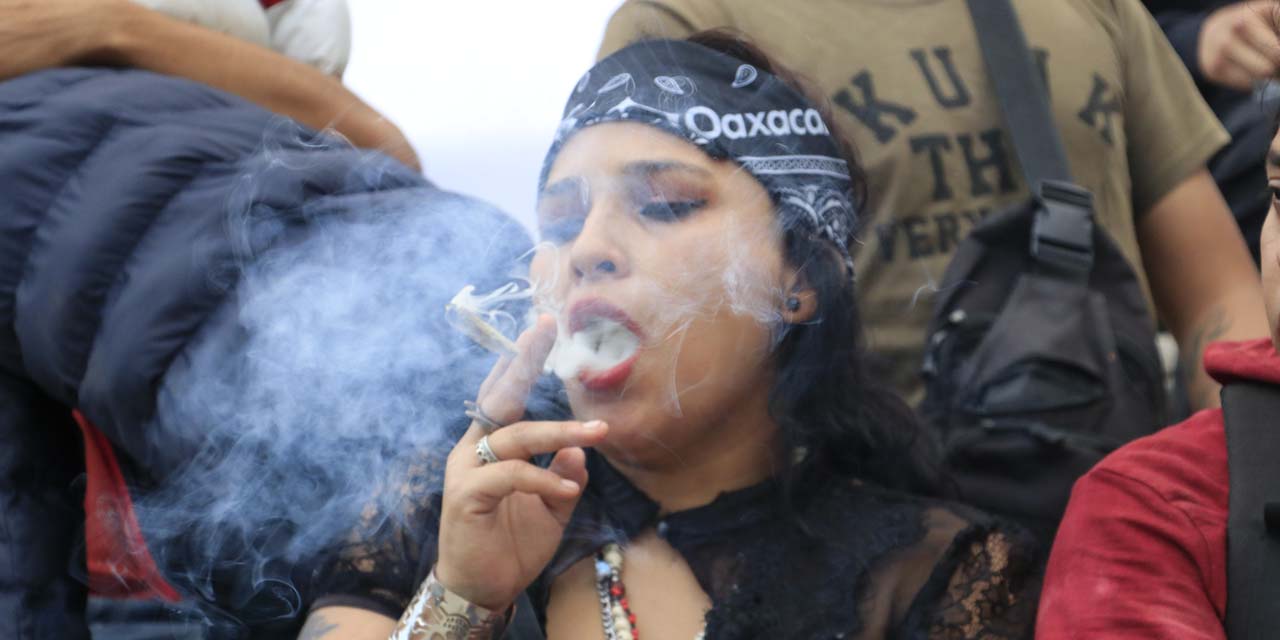 Ven viable el uso lúdico y medicinal de la mariguana | El Imparcial de Oaxaca
