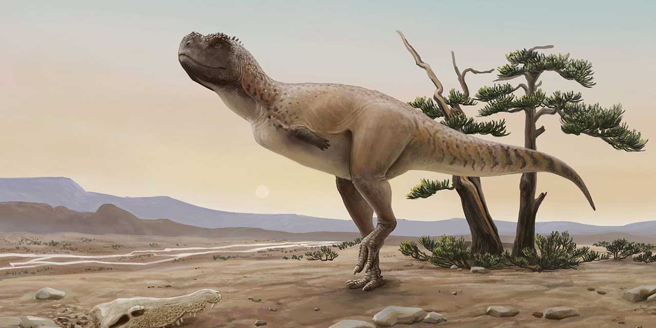 🦖Descubren un dinosaurio carnívoro en el oasis de Bahariya, Egipto | El Imparcial de Oaxaca
