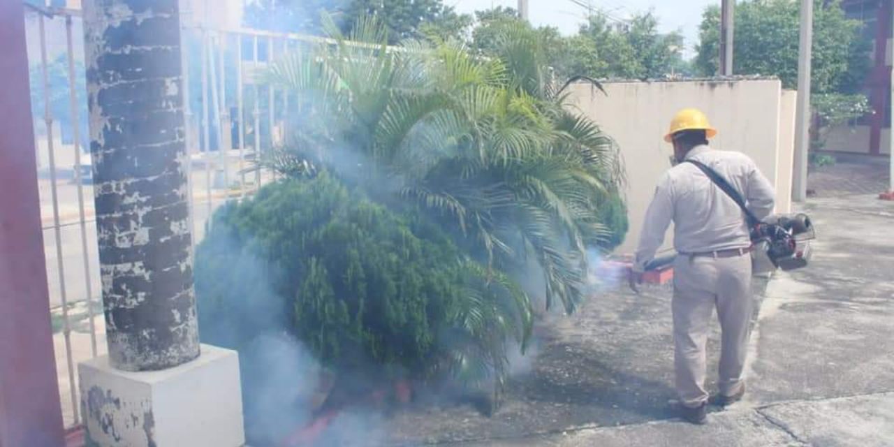 Fumigan escuelas  para evitar dengue | El Imparcial de Oaxaca