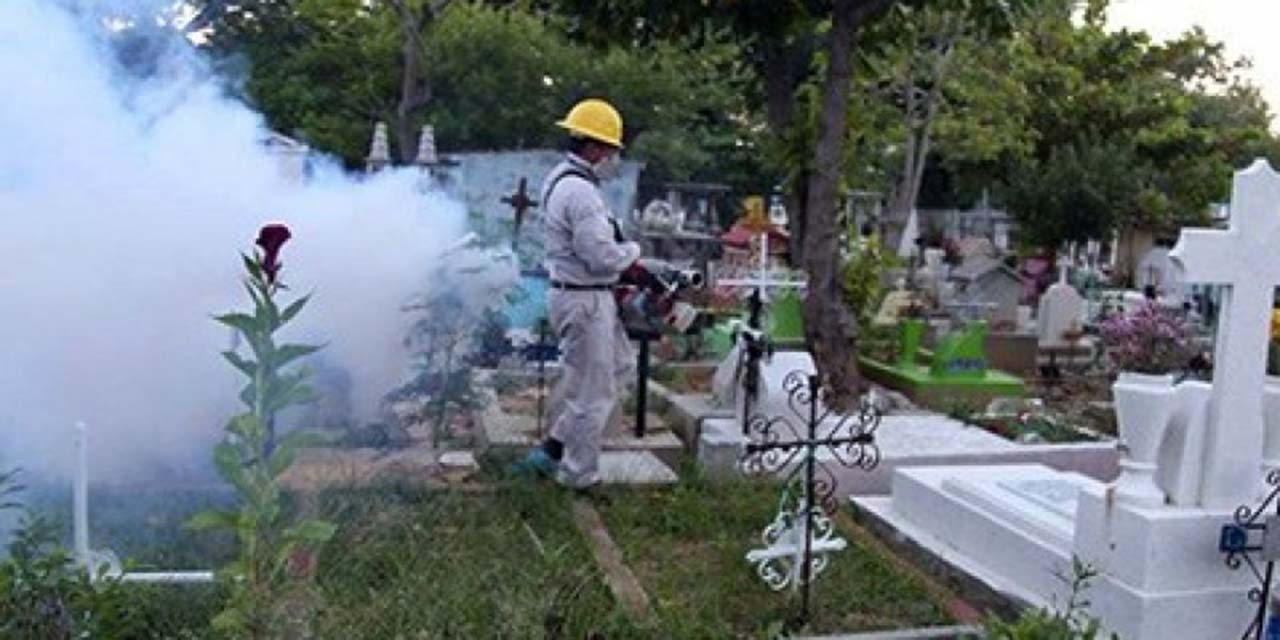 Fumigan panteón de Salina Cruz | El Imparcial de Oaxaca