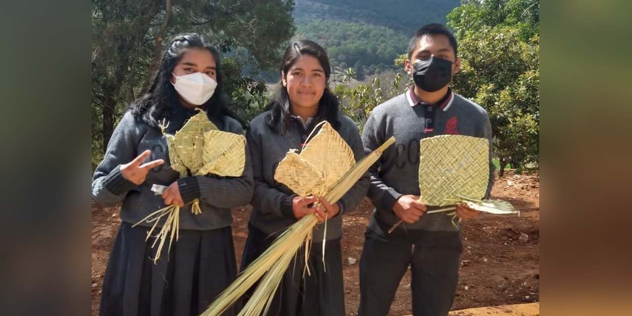 Trabajan en rescate del tejido de palma | El Imparcial de Oaxaca