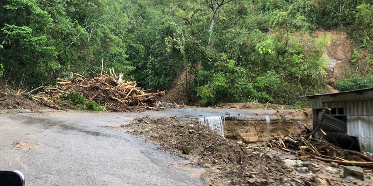 Contabilizan 2 mil viviendas  dañadas en Pluma Hidalgo