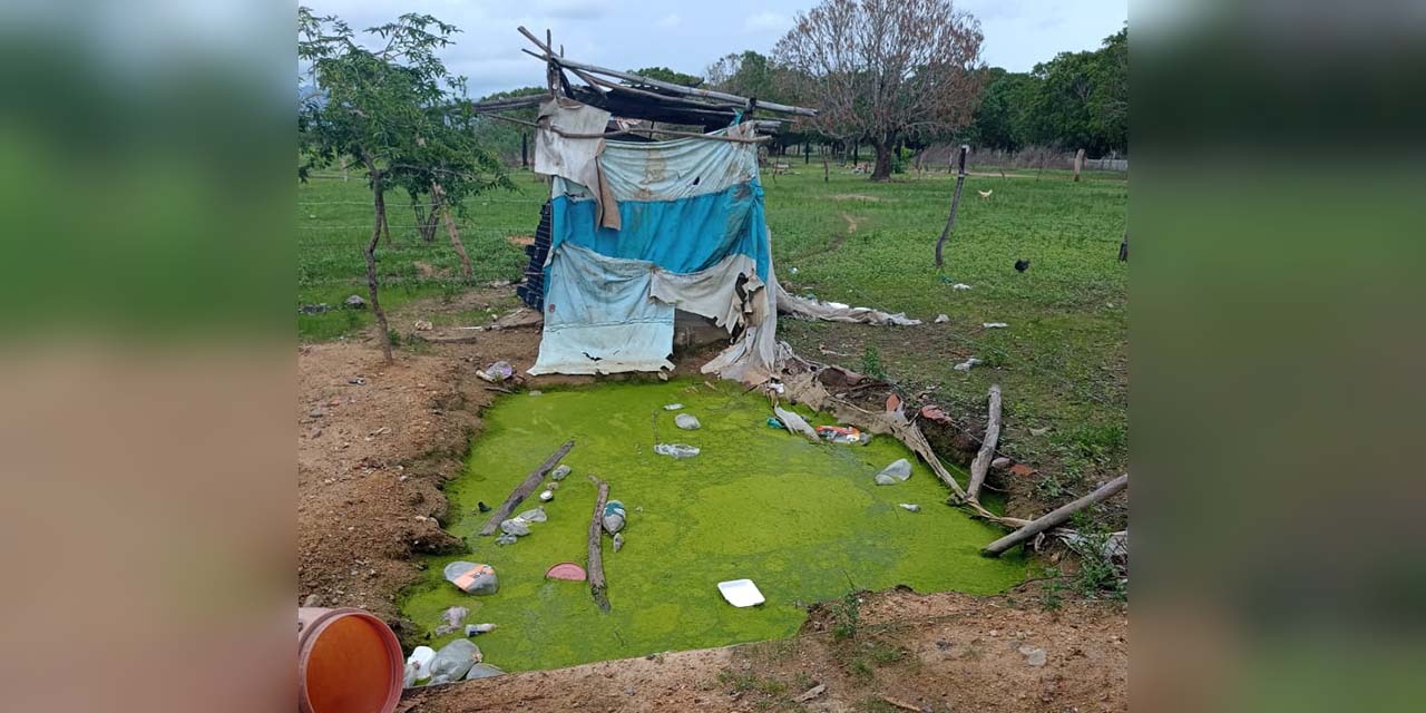 Menor muere ahogado en estanque de agua sucia | El Imparcial de Oaxaca