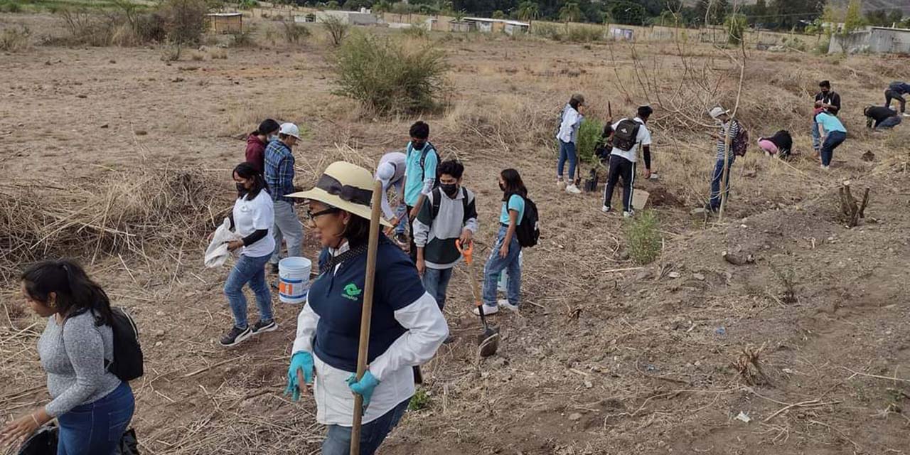 Promoverán respeto y cuidado del ambiente | El Imparcial de Oaxaca