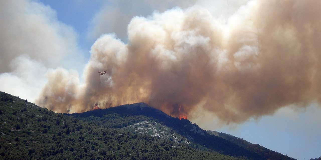 Arden miles de hectáreas por calor en España | El Imparcial de Oaxaca