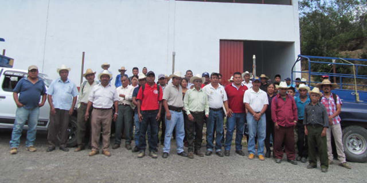 Apicultores mazatecos piden urgente apoyo de la Sedapa | El Imparcial de Oaxaca