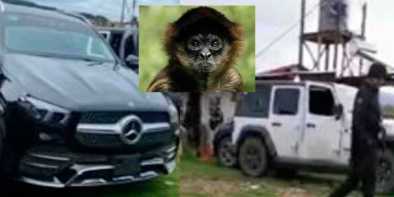 FOTO: Fallece mono araña vestido de sicario en balacera | El Imparcial de Oaxaca
