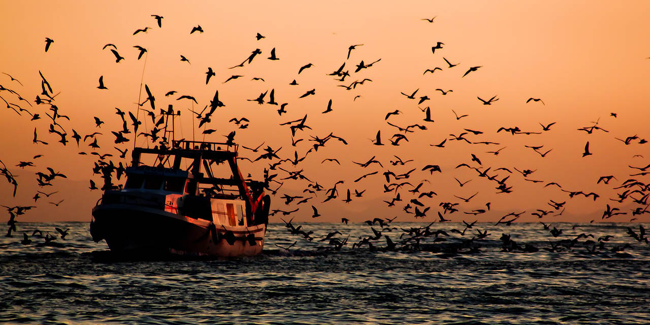 Preocupa a Ecuador presencia de pesqueros chinos cerca de las Galápagos | El Imparcial de Oaxaca