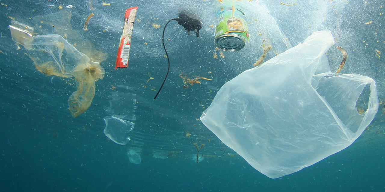 Necesario mantener los mares libres de plásticos | El Imparcial de Oaxaca
