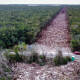 Expropian 138.3 hectáreas para obras del Tren Maya