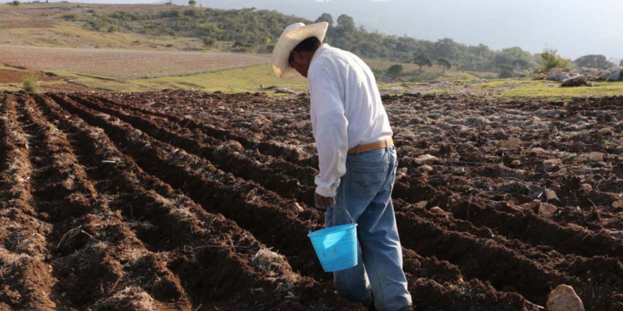 Malas prácticas agrícolas generan desertificación en Oaxaca: UTSSO | El Imparcial de Oaxaca