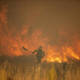 Europa ‘está que arde’: Incendios forestales y ola de calor agobian al continente