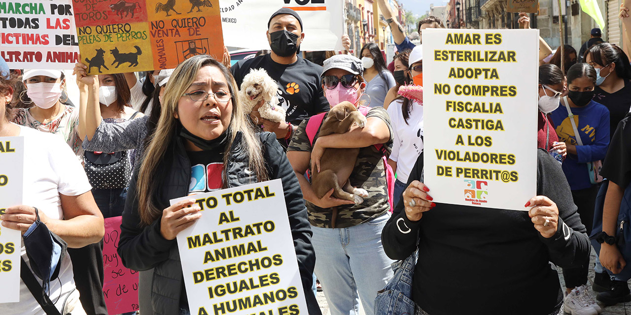 Destaca Oaxaca por la crueldad contra animales
