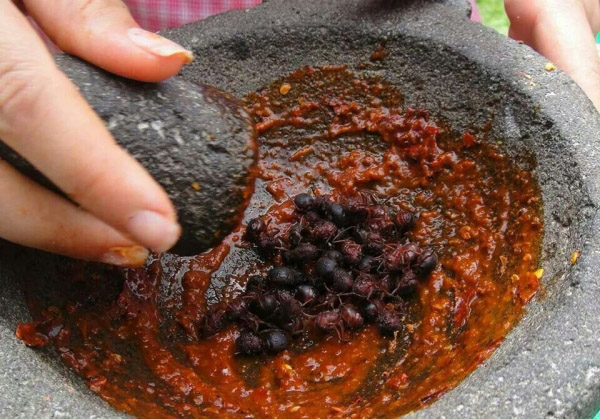 ¿Qué tal una receta para preparar con ’chicatanas’? | El Imparcial de Oaxaca