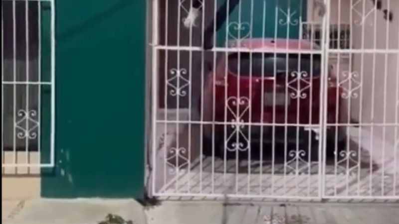 (VIDEO) Presunto ladrón agoniza al quedar clavado en la reja de una casa en Campeche | El Imparcial de Oaxaca