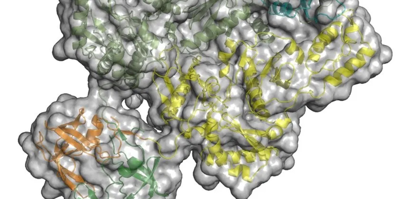 VIH/Sida: Científicos descubren vulnerabilidad del virus que podría ayudar a crear nuevos medicamentos | El Imparcial de Oaxaca