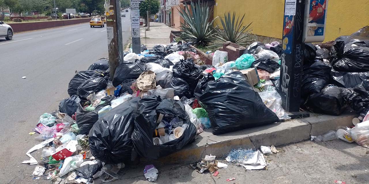 Se ahoga en basura Santa Lucía; municipio, paralizado | El Imparcial de Oaxaca