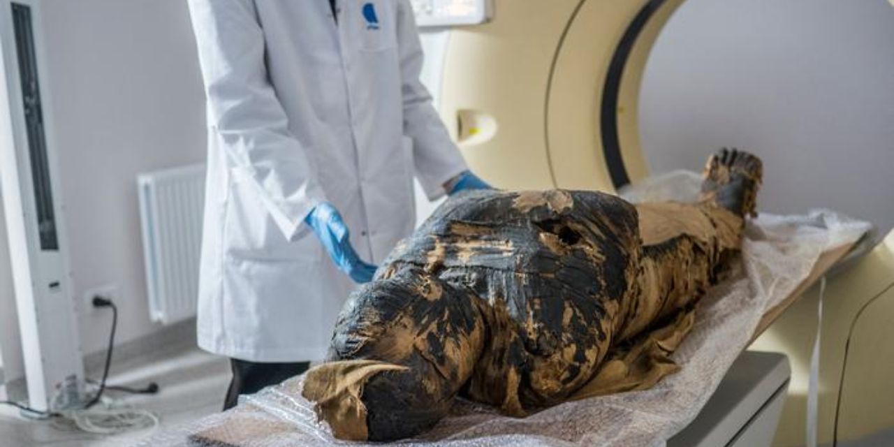 El caso de la enigmática momia egipcia embarazada toma otro giro inesperado | El Imparcial de Oaxaca