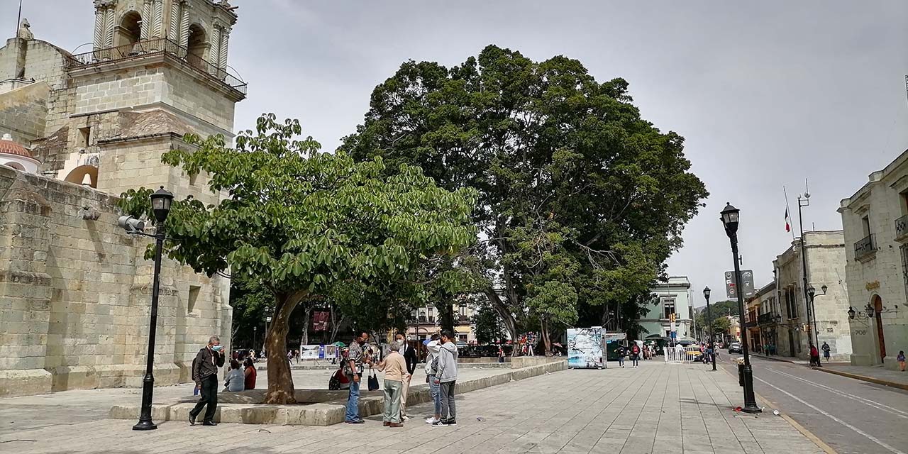 A falta de permiso, retiran esculturas de Andriacci | El Imparcial de Oaxaca