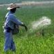 Da Sader mejoralito a crisis de fertilizantes