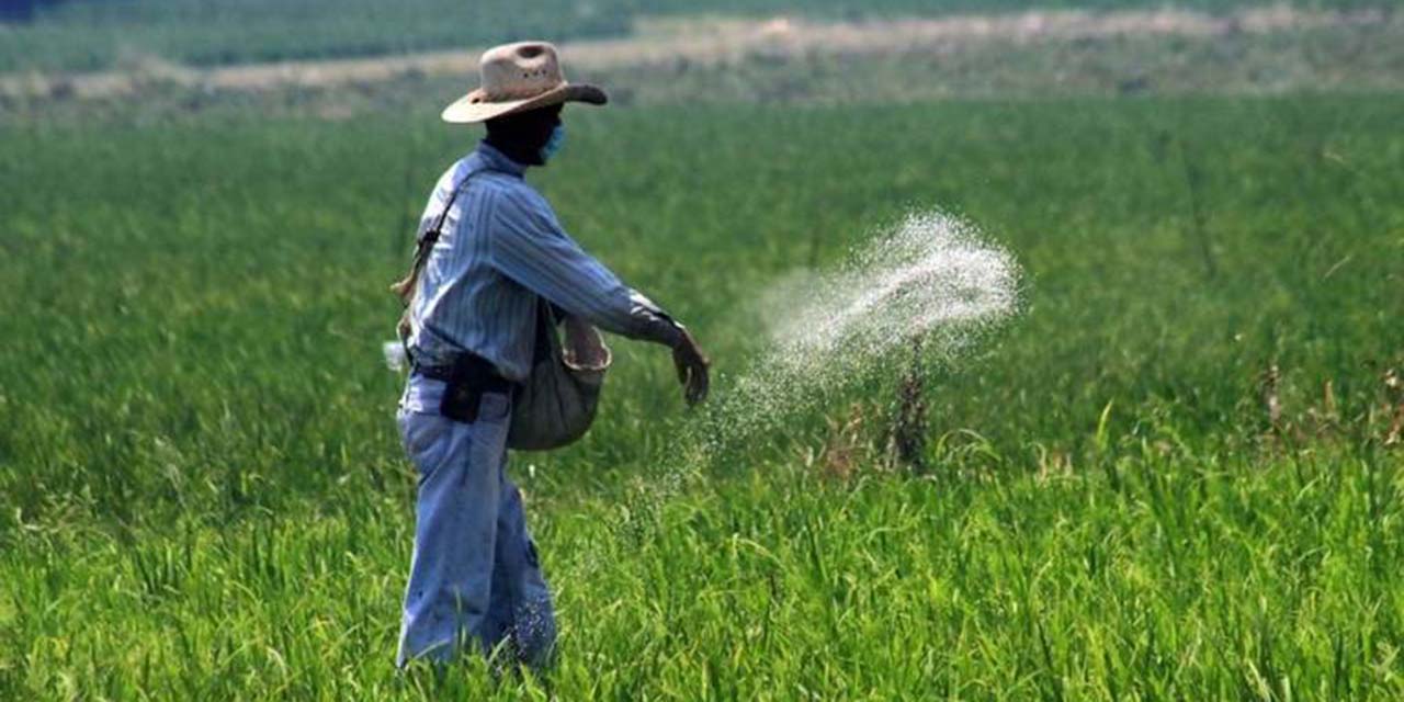 Da Sader mejoralito a crisis de fertilizantes | El Imparcial de Oaxaca