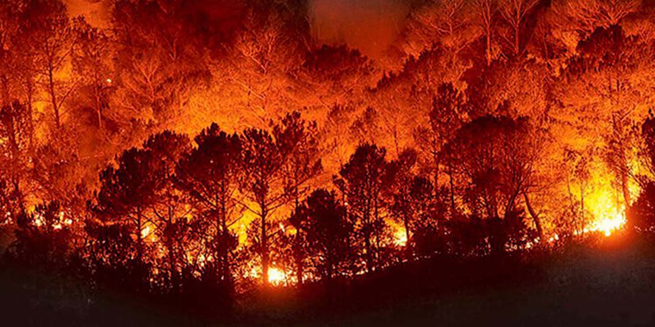Piden no bajar la guardia por incendios forestales | El Imparcial de Oaxaca