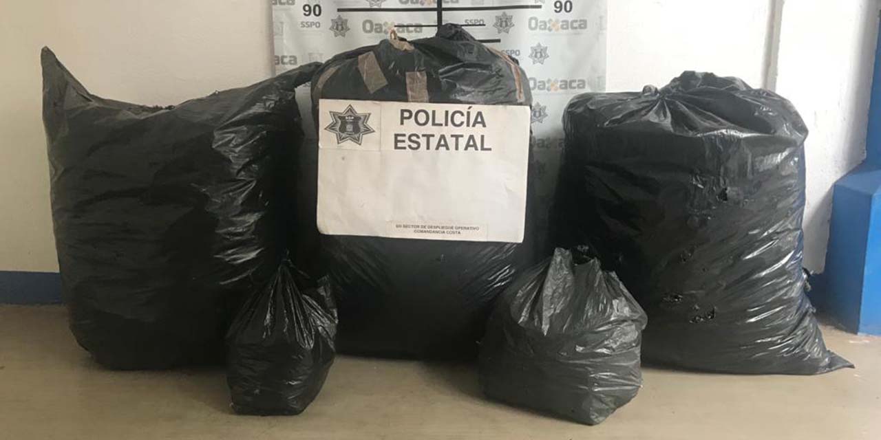 Decomisa SSPO 52 kilos de marihuana | El Imparcial de Oaxaca