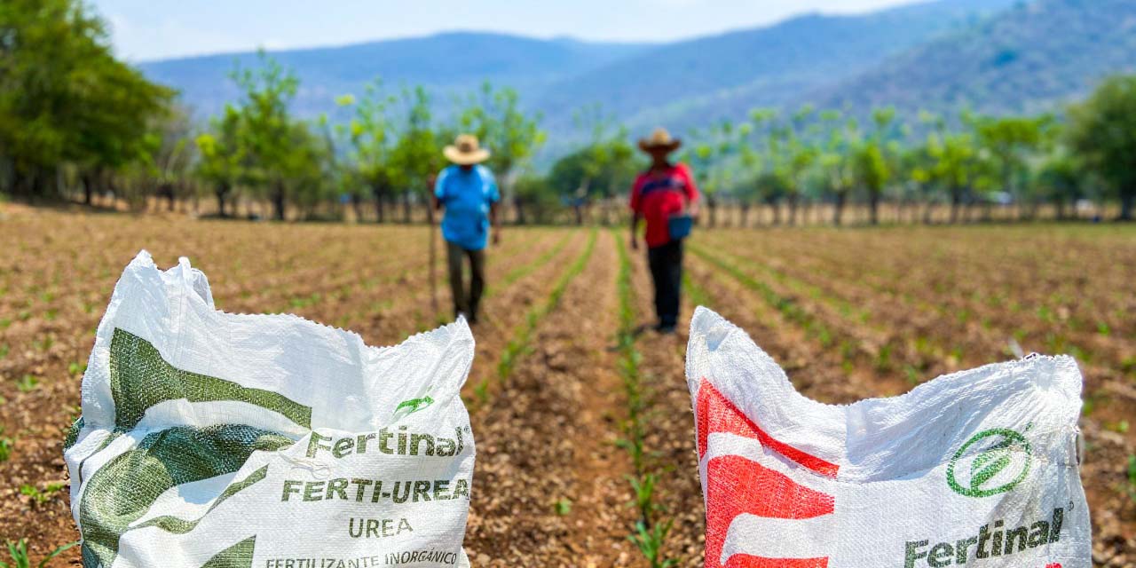 Entregan fertilizante Bienestar y no siembran | El Imparcial de Oaxaca