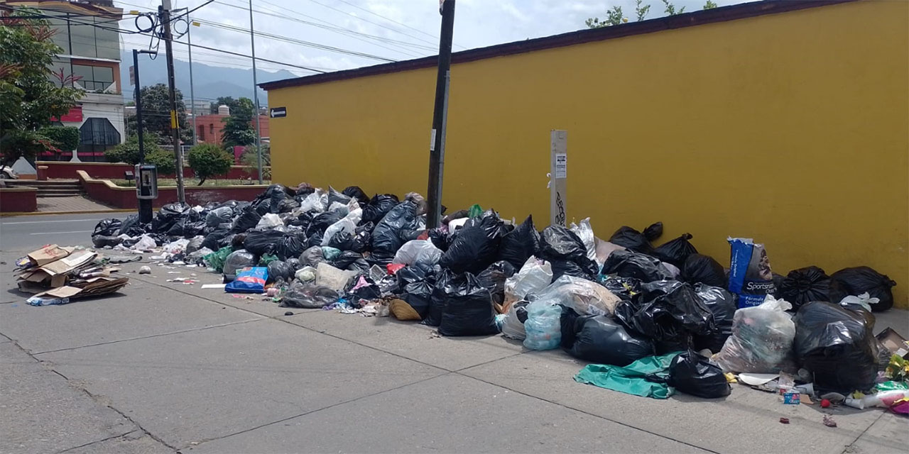 Más de 100 mdp necesitan para aliviar crisis de basura | El Imparcial de Oaxaca