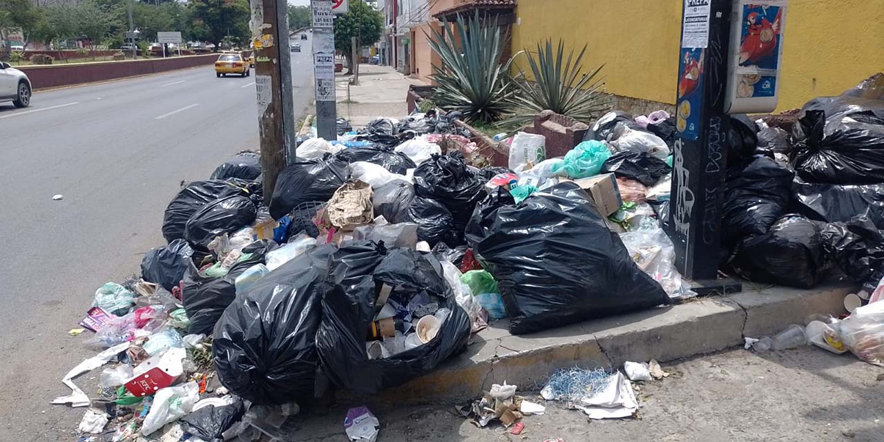 Se da Santa Lucía 10 días para levantar la basura | El Imparcial de Oaxaca