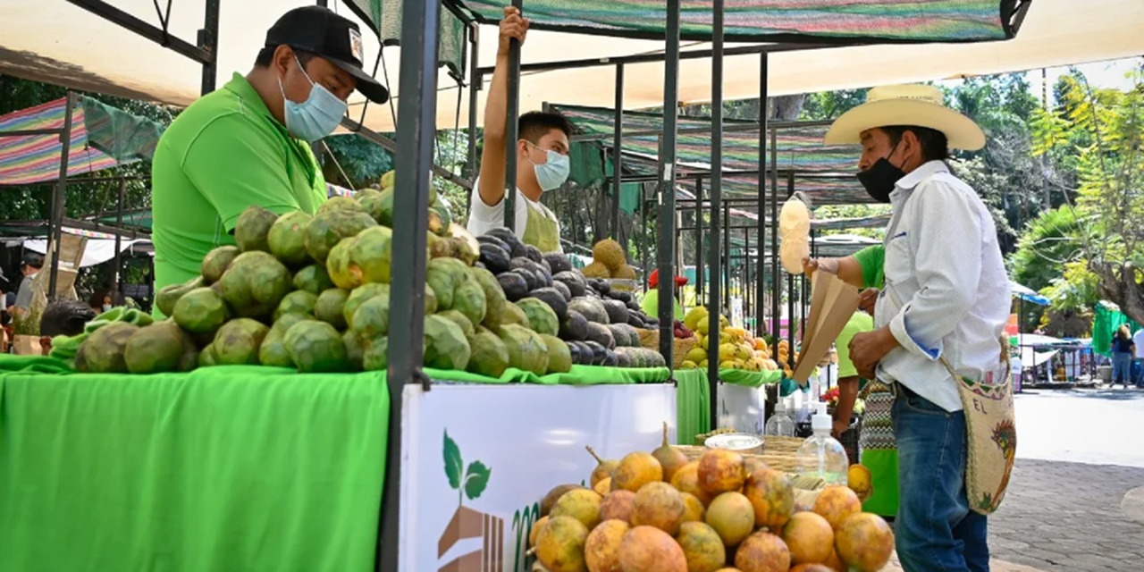 Coronavirus en México al 15 de julio: se registraron 34 mil 567 nuevos contagios y 85 muertes