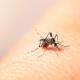 Avanza el dengue en Oaxaca; quinta entidad por incidencia