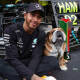 ‘Roscoe’, perro de Hamilton, muestra el mundo de la F1 con su cámara