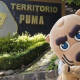 Pumas confirma llegada de Dani Alves; ‘Goyo’ le da la bienvenida