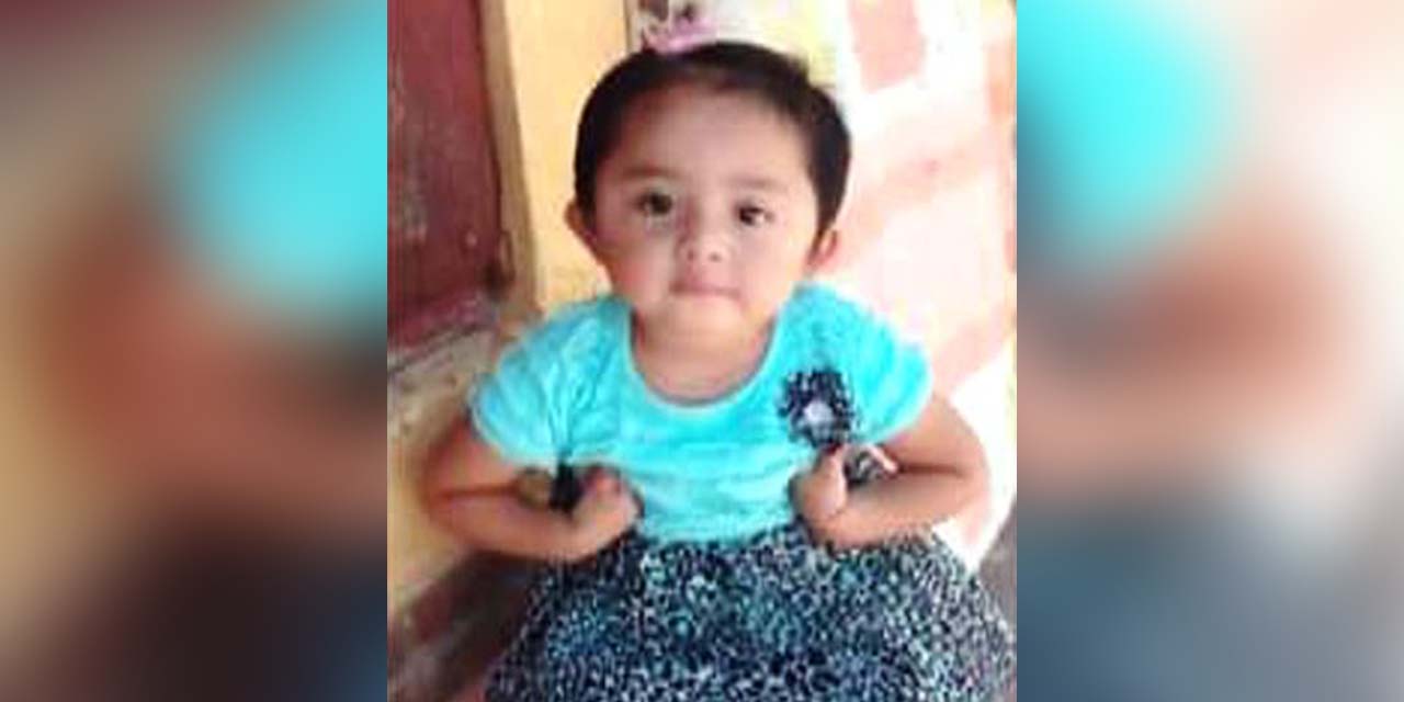 Buscan a niña de dos años desaparecida | El Imparcial de Oaxaca