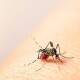 Notifica Oaxaca 15 nuevos casos de dengue