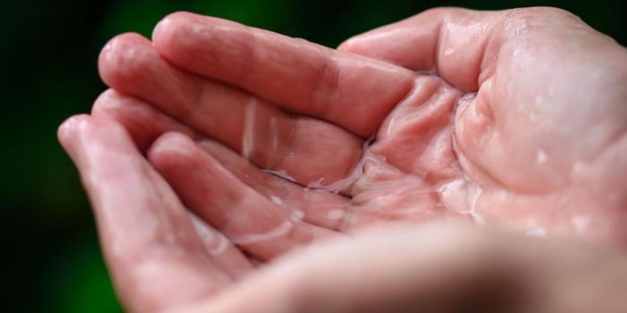 El agua de lluvia de toda la Tierra es insegura para beber debido a “sustancias químicas eternas” | El Imparcial de Oaxaca