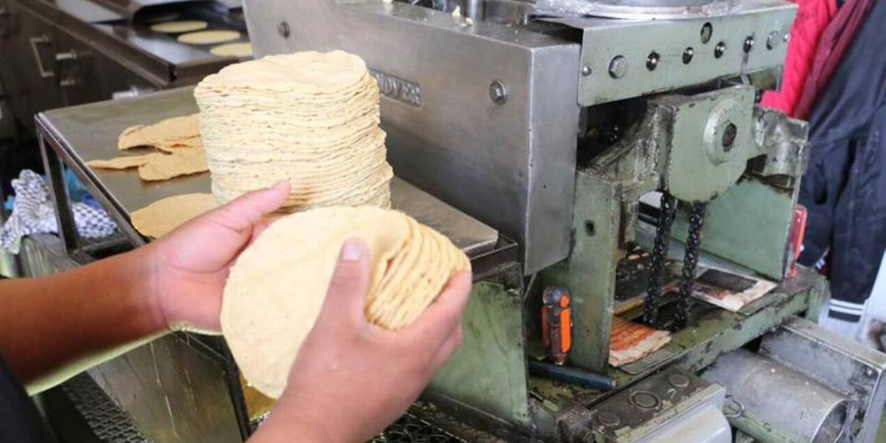 Profeco señala a Maseca de influir en altos precios de la tortilla | El Imparcial de Oaxaca