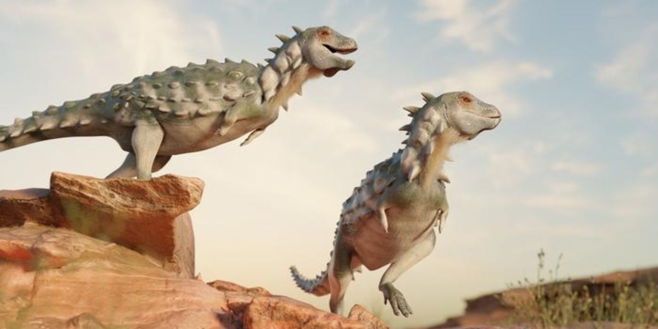 Descubren extraña especie de dinosaurio acorazado en Argentina | El Imparcial de Oaxaca