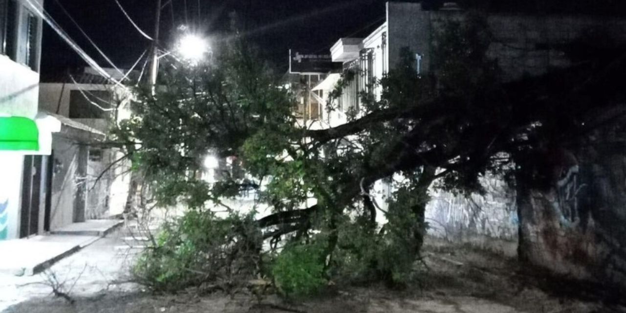 Lluvias en Huajuapan dejaron árboles caídos y encharcamientos | El Imparcial de Oaxaca