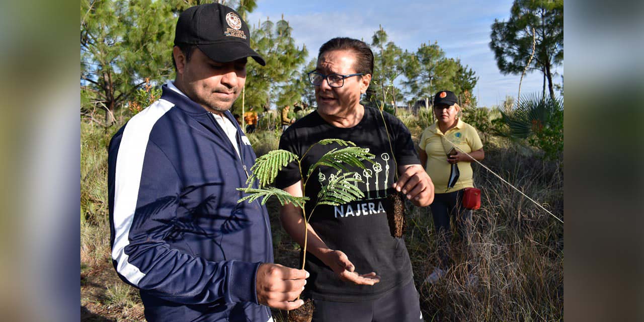 Se unen huajuapeños a la reforestación 2022 | El Imparcial de Oaxaca