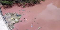 Laguna Alotenco se pinta de rosa
