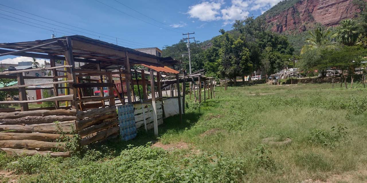 Sin lograr objetivo, el baratillo en Cuicatlán | El Imparcial de Oaxaca