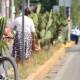 Crece el uso de la bicicleta en Oaxaca