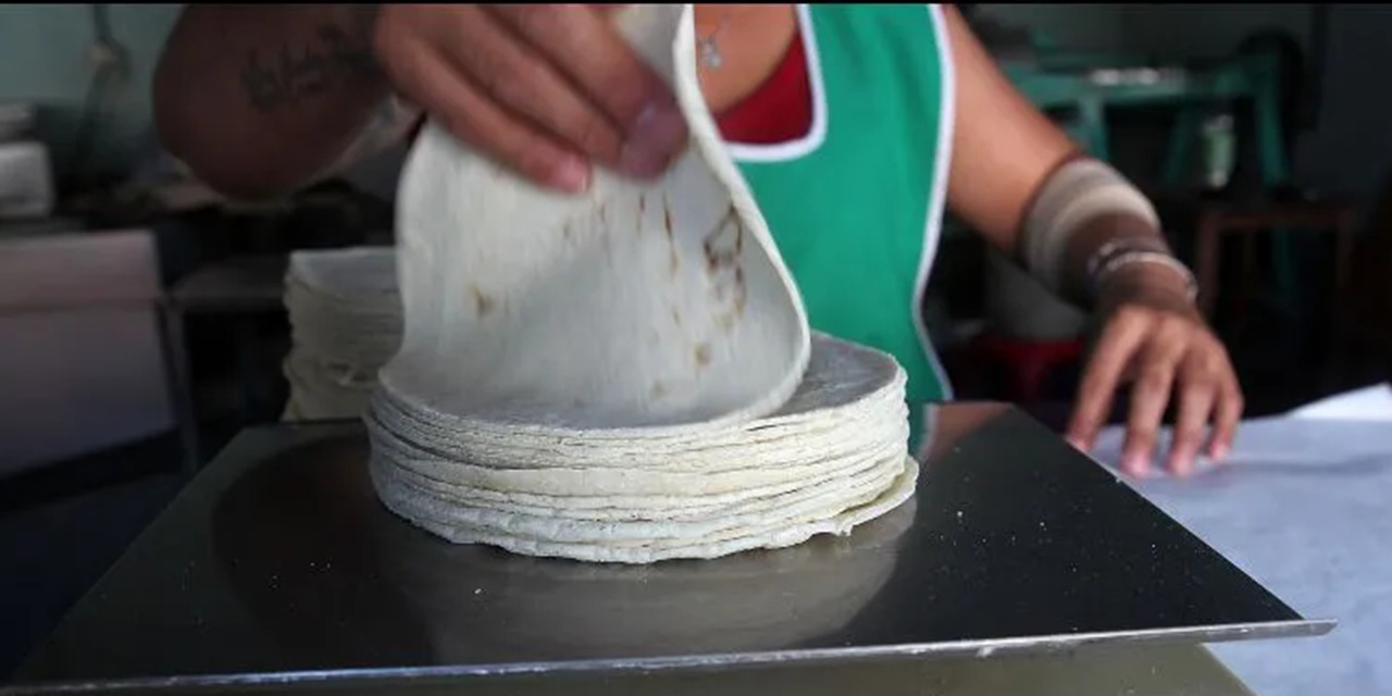 ¡Surge la tortilla pirata! ¿Qué es y cómo identificarla? | El Imparcial de Oaxaca
