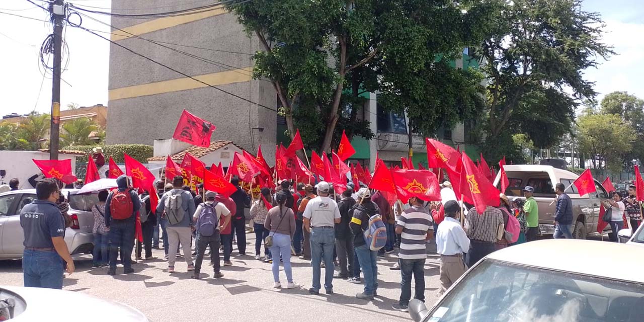 “No debemos claudicar”, el llamado de colectivos | El Imparcial de Oaxaca