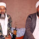 EEUU abatió en Afganistán al jefe terrorista de Al Qaeda Ayman al-Zawahiri