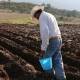 Dañadas apenas 223 hectáreas de cultivos en Oaxaca
